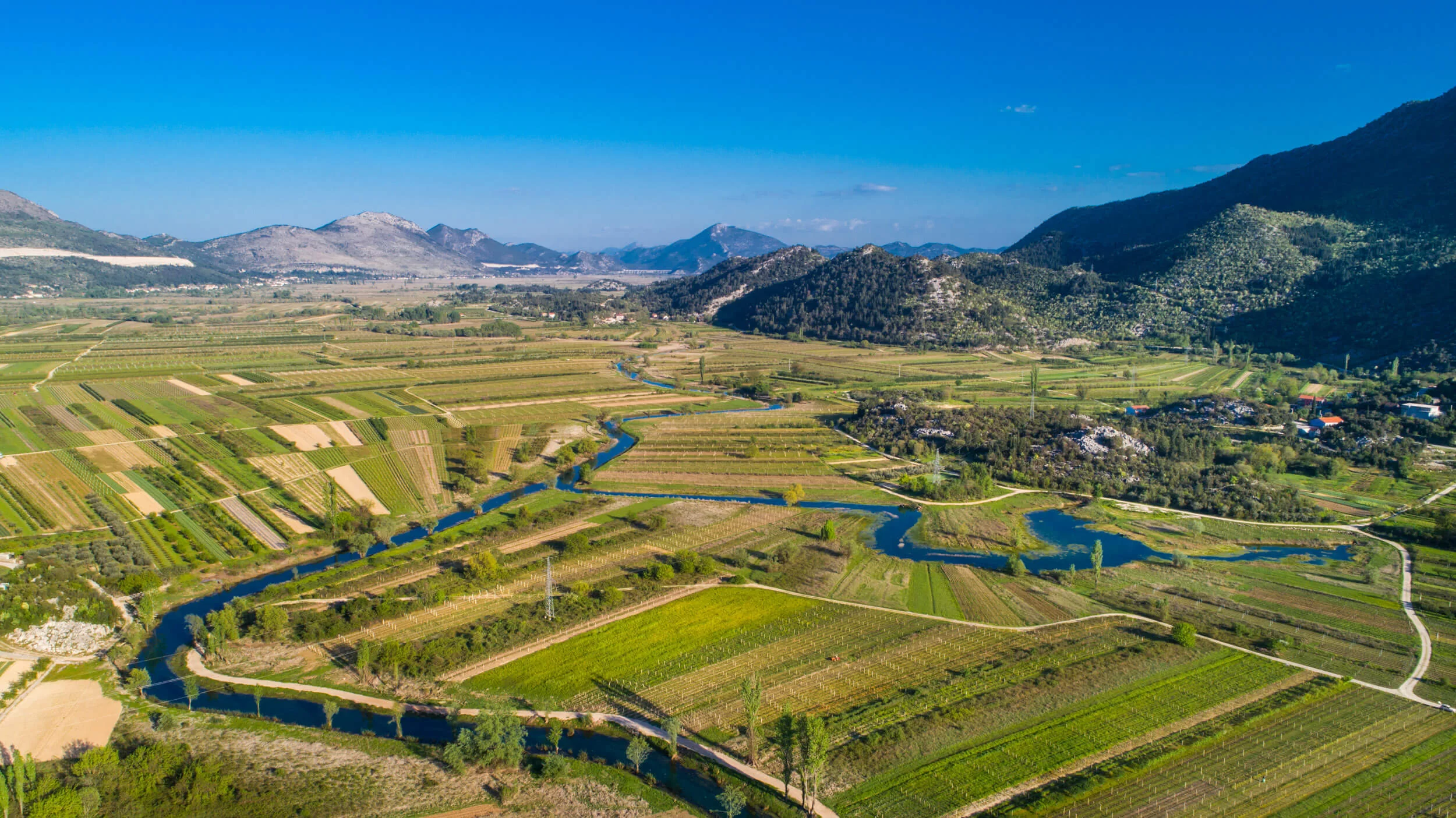 Zagora adventure Strawberry and wine tour takes you with quads to Vrgorac's vineyards, strawberry fields and old mine